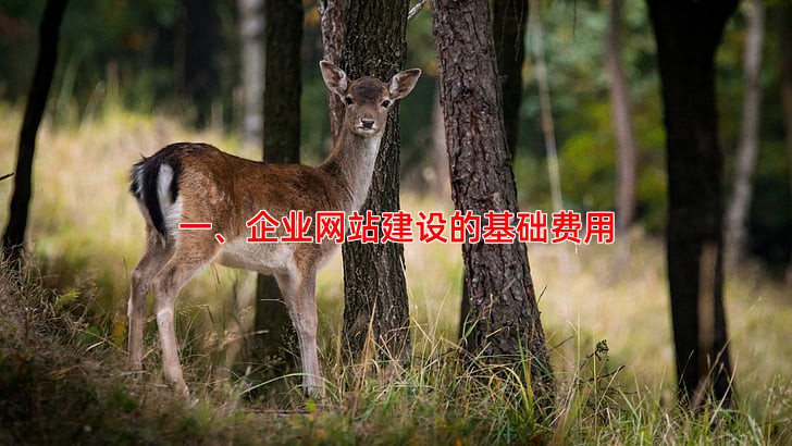 企业网站建设费用包含哪些项目