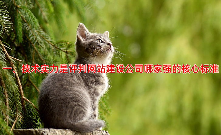 网站建设公司哪家强，关键看这几点