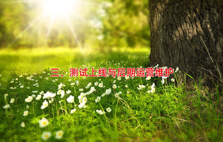 三、测试上线与后期运营维护