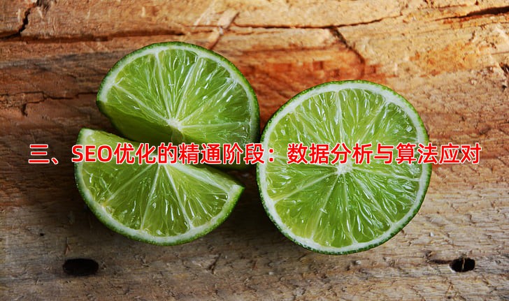 三、SEO优化的精通阶段：数据分析与算法应对