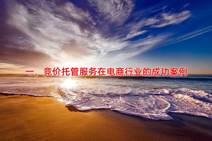 竞价托管服务专业公司有哪些成功案例