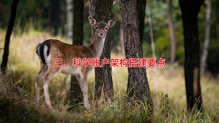 三、科学账户架构搭建要点