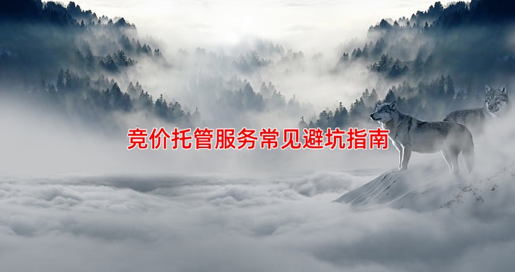 竞价托管服务常见避坑指南