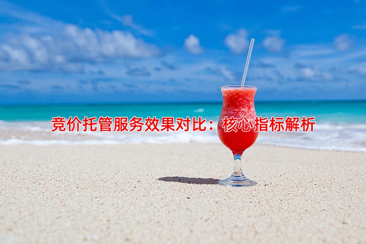 竞价托管服务效果对比：核心指标解析