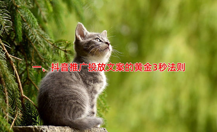 抖音推广投放如何写出吸引人的广告文案