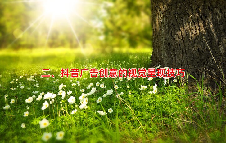 二、抖音广告创意的视觉呈现技巧