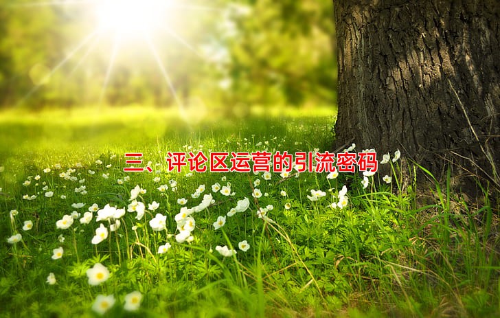 三、评论区运营的引流密码