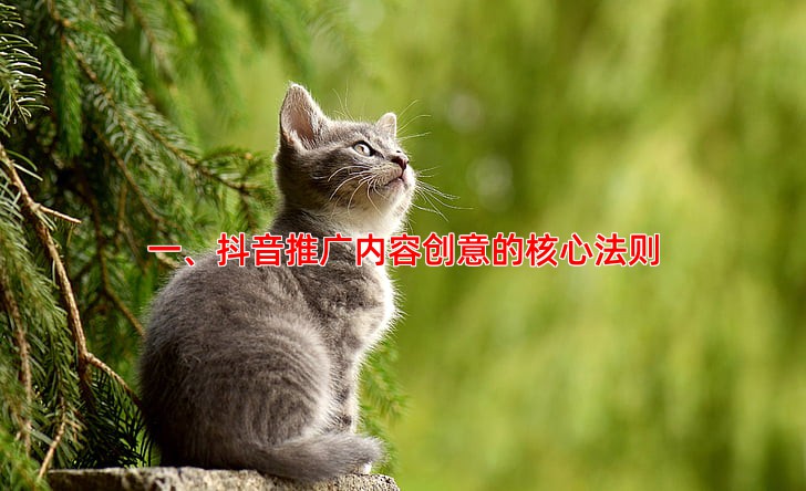 一、抖音推广内容创意的核心法则
