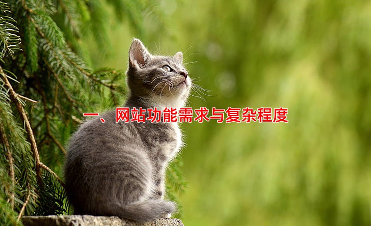 影响响应式网站价格的主要因素有哪些