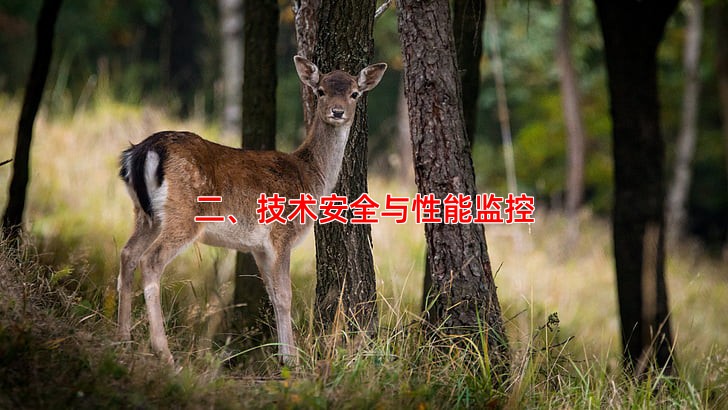 二、技术安全与性能监控