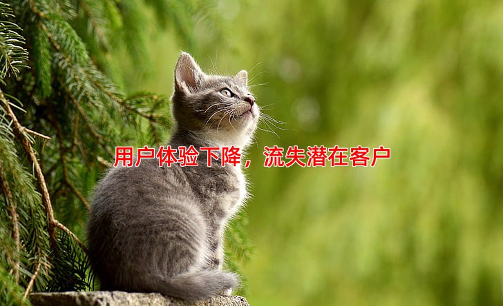 网站后期维护不及时会有哪些风险