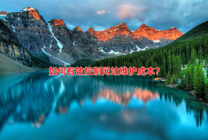 如何有效控制网站维护成本？