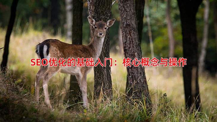 SEO优化从入门到精通的全攻略