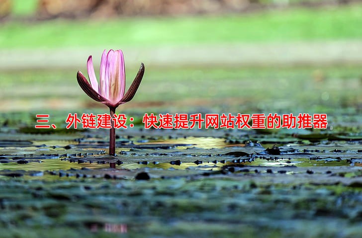三、外链建设：快速提升网站权重的助推器