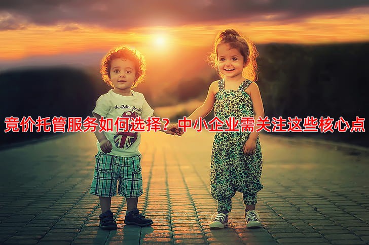 竞价托管服务哪家专业适合中小企业