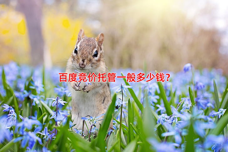百度竞价托管一般多少钱 费用受哪些因素影响