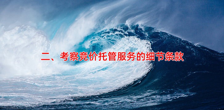 二、考察竞价托管服务的细节条款