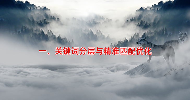 竞价托管优化怎么做？这5个技巧必须掌握