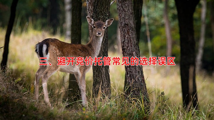 竞价托管公司哪家好？关键指标帮你判断