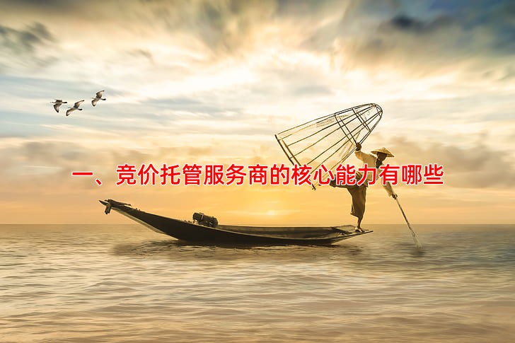 竞价托管哪家公司效果好，如何选择靠谱服务商