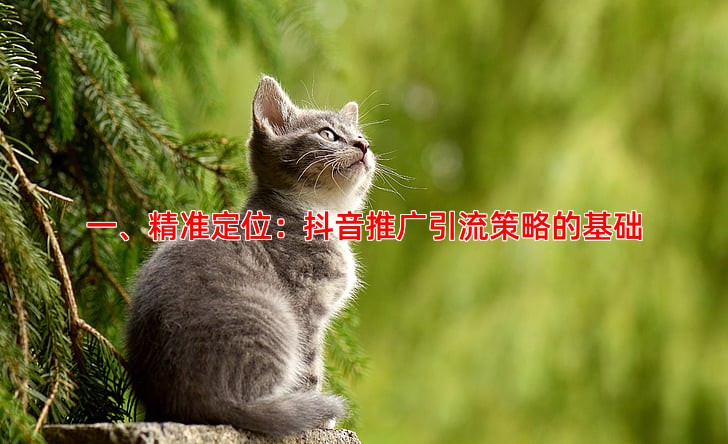 一、精准定位：抖音推广引流策略的基础