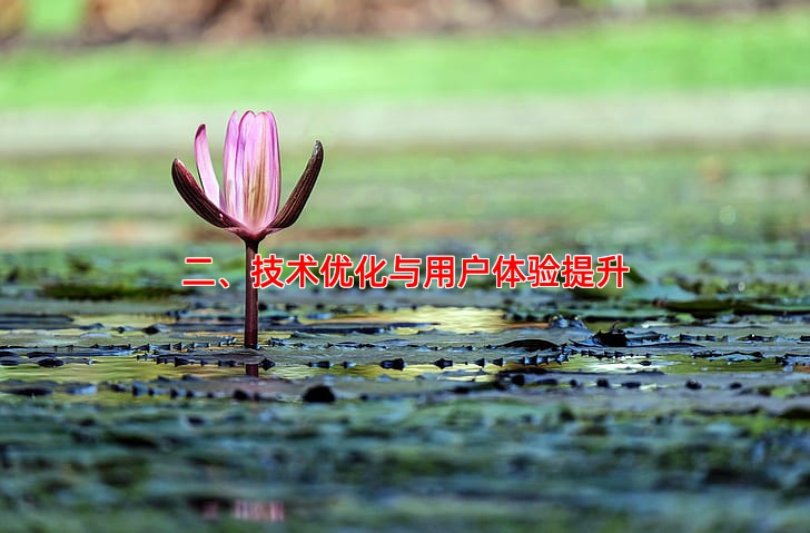 二、技术优化与用户体验提升
