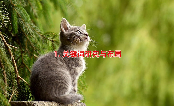 1. 关键词研究与布局