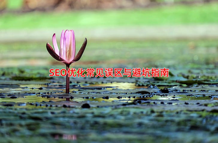 SEO优化常见误区与避坑指南