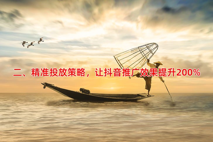 二、精准投放策略，让抖音推广效果提升200%
