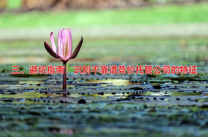 竞价托管公司怎么选，效果与服务是关键