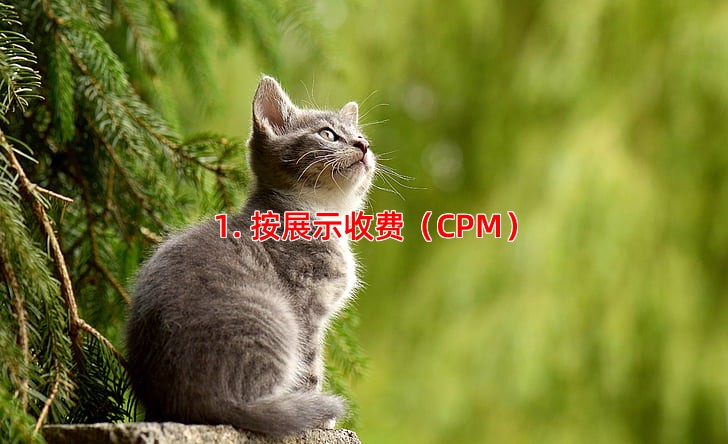 1. 按展示收费（CPM）