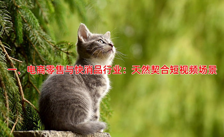抖音推广适合哪些行业效果更好