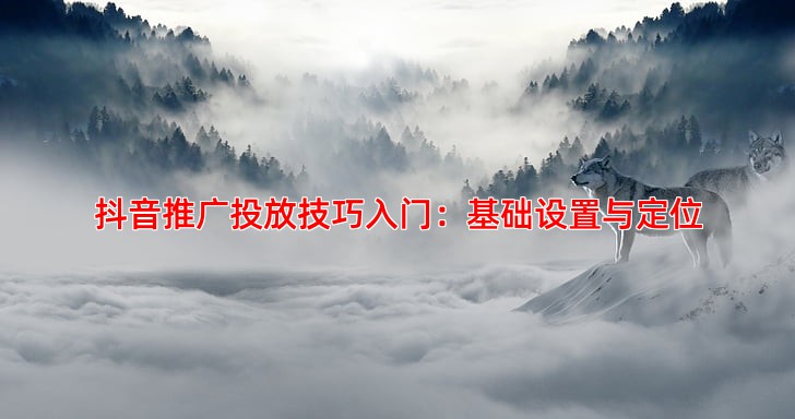抖音推广投放技巧入门：基础设置与定位