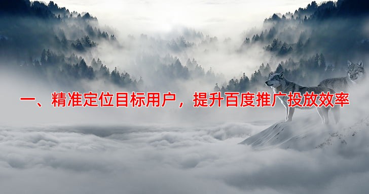 一、精准定位目标用户，提升百度推广投放效率