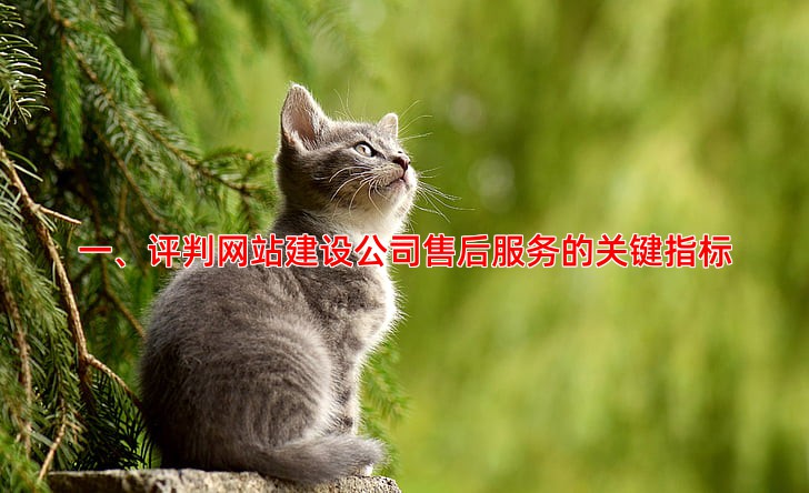 网站建设公司哪家售后服务好