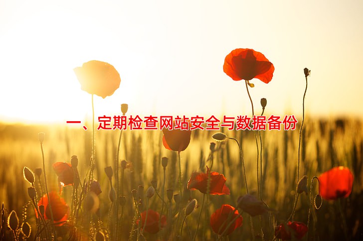 网站建设后期维护需要注意哪些关键点