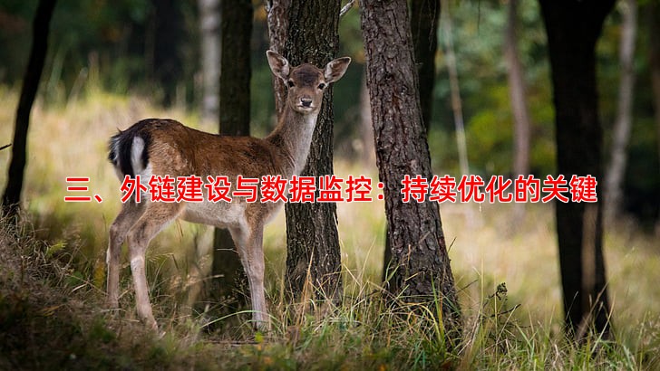 三、外链建设与数据监控：持续优化的关键