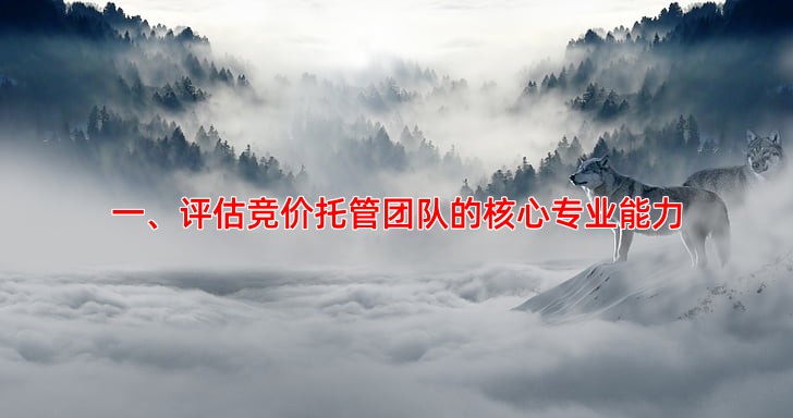 竞价托管服务如何选择专业可靠的团队