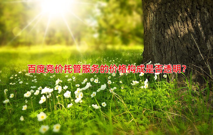 百度竞价托管服务的价格构成是否透明？