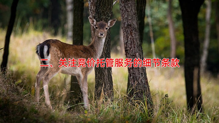 二、关注竞价托管服务的细节条款