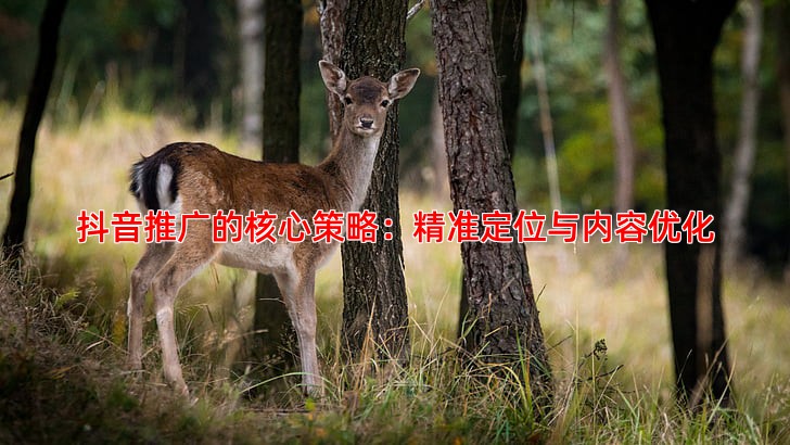 抖音推广的核心策略：精准定位与内容优化