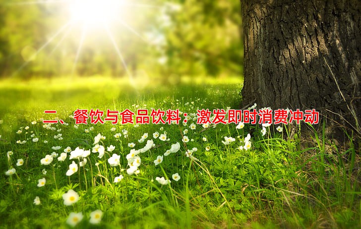 二、餐饮与食品饮料：激发即时消费冲动