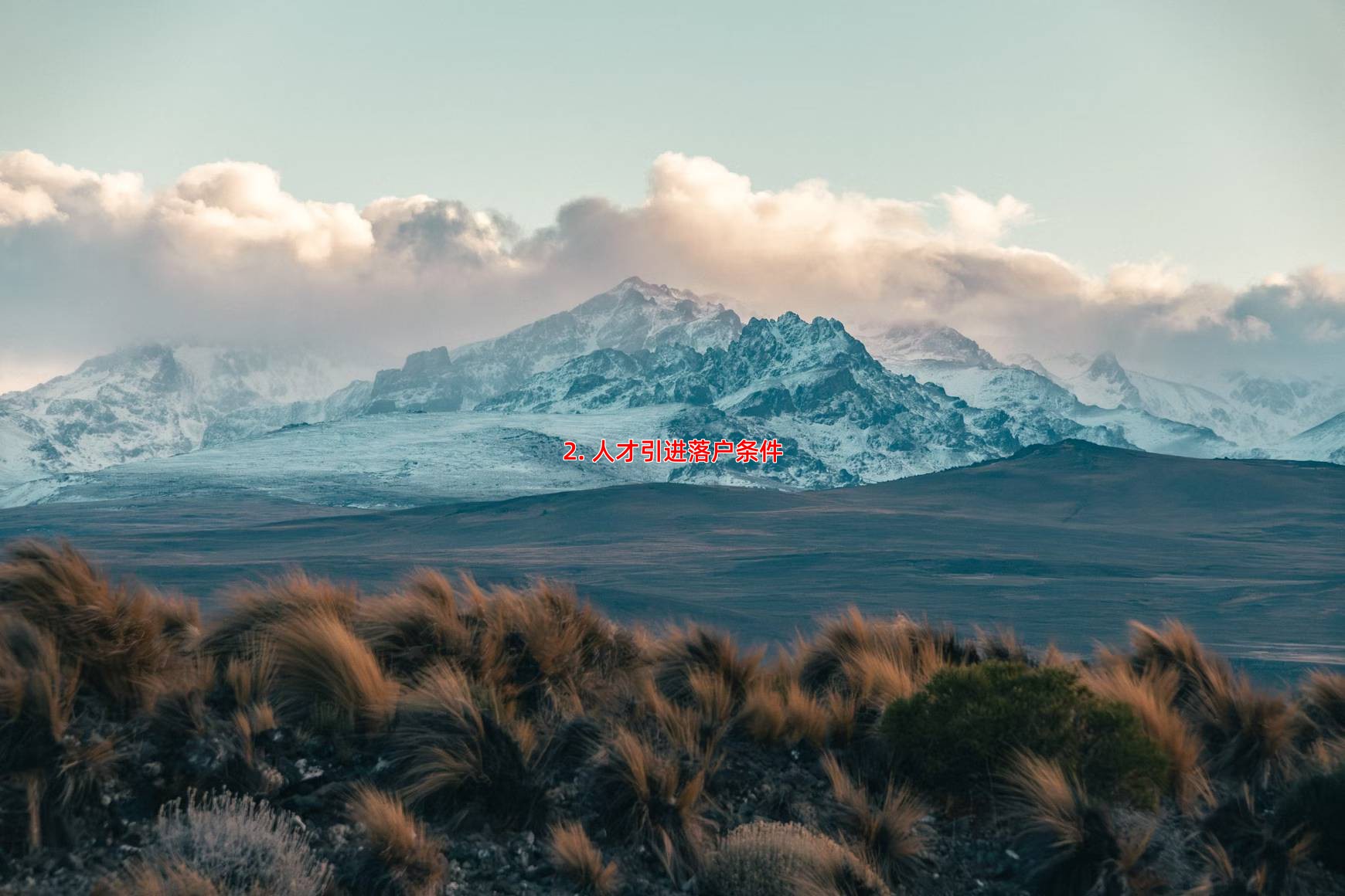 2. 人才引进落户条件