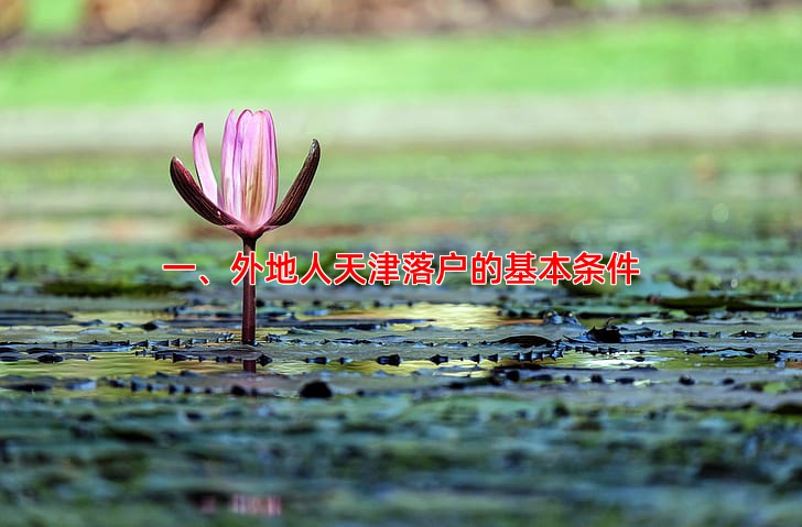 一、外地人天津落户的基本条件