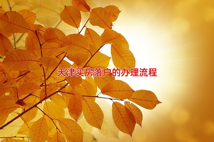 天津买房落户的办理流程