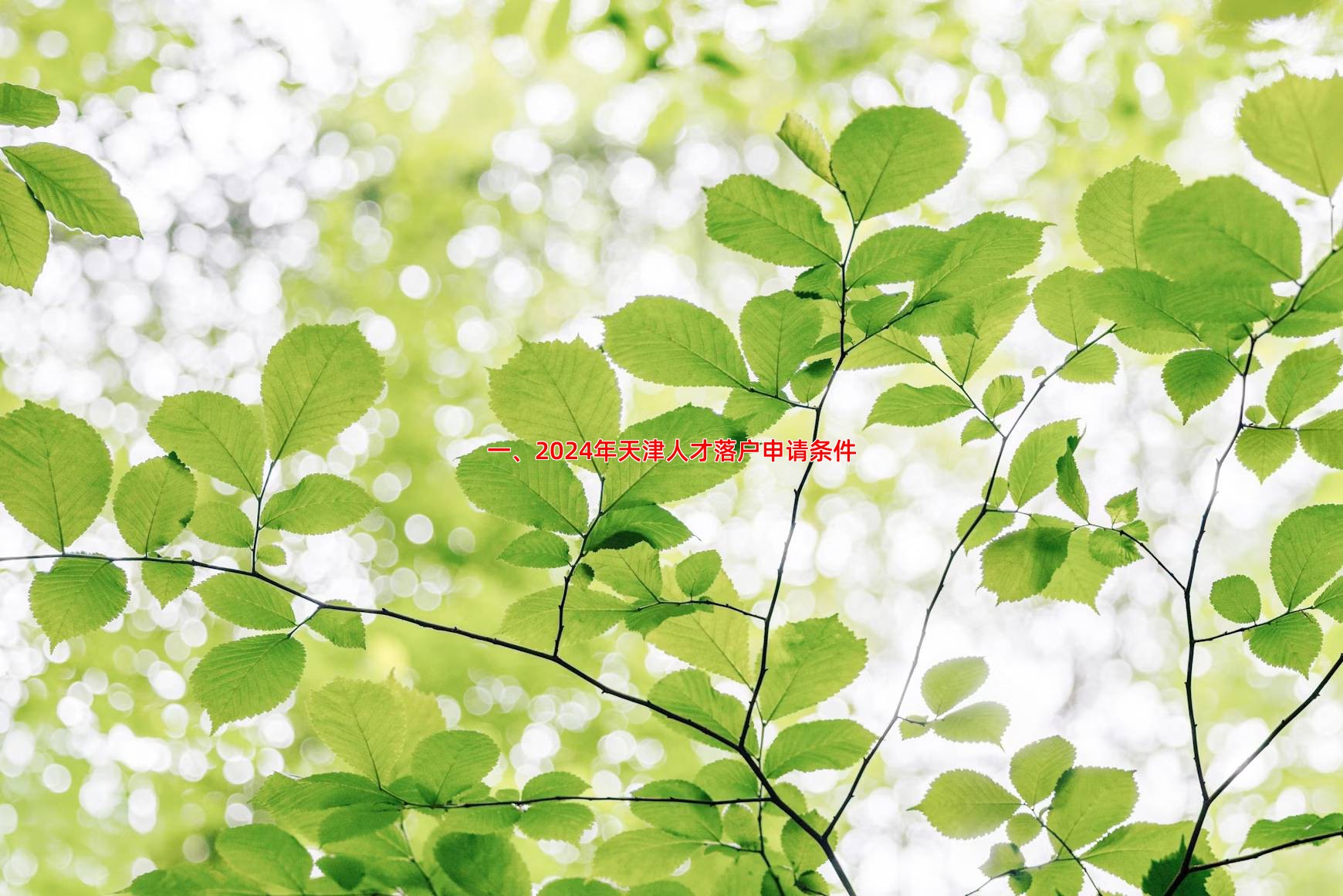 一、2024年天津人才落户申请条件