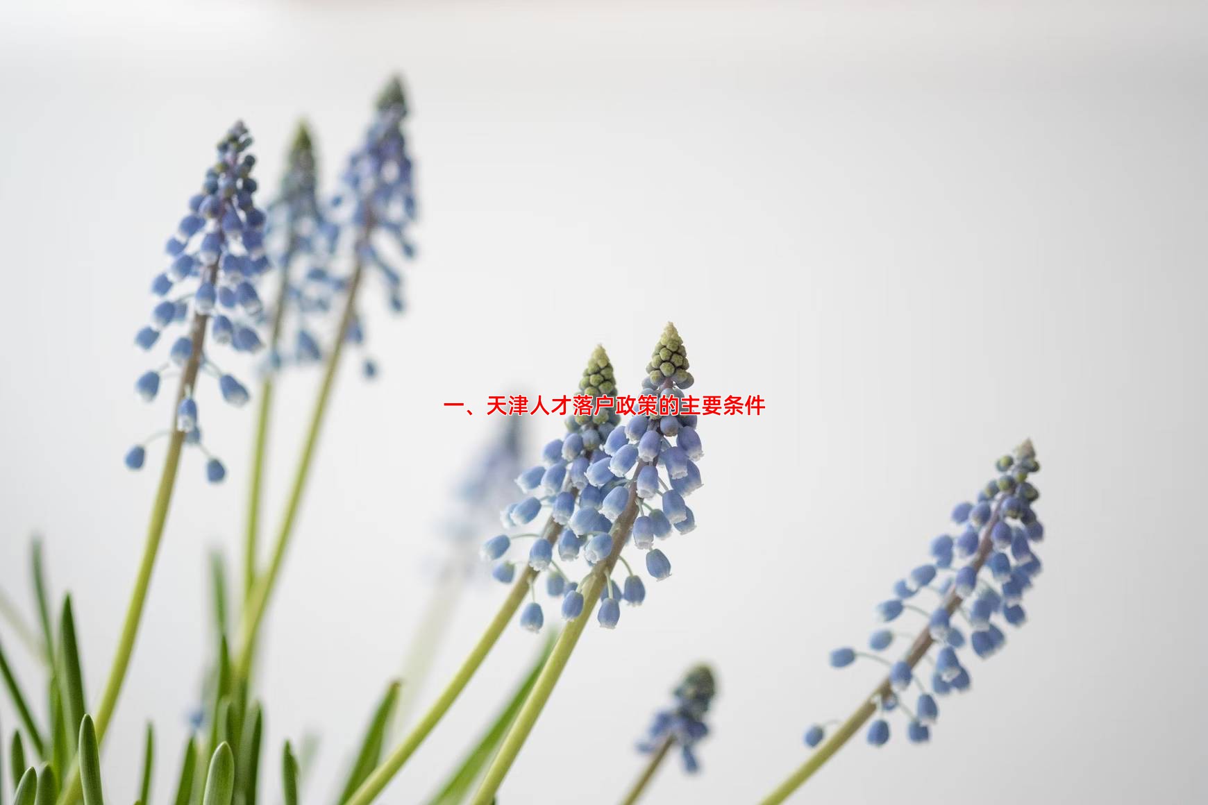 一、天津人才落户政策的主要条件