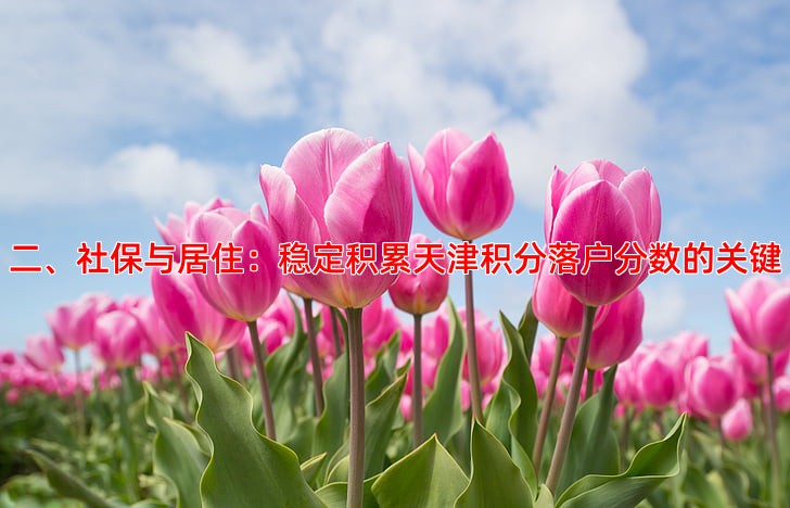 二、社保与居住：稳定积累天津积分落户分数的关键