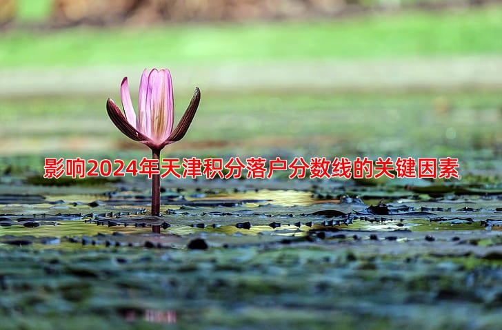 影响2024年天津积分落户分数线的关键因素