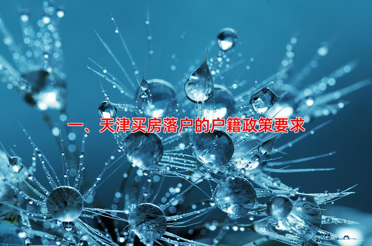 一、天津买房落户的户籍政策要求